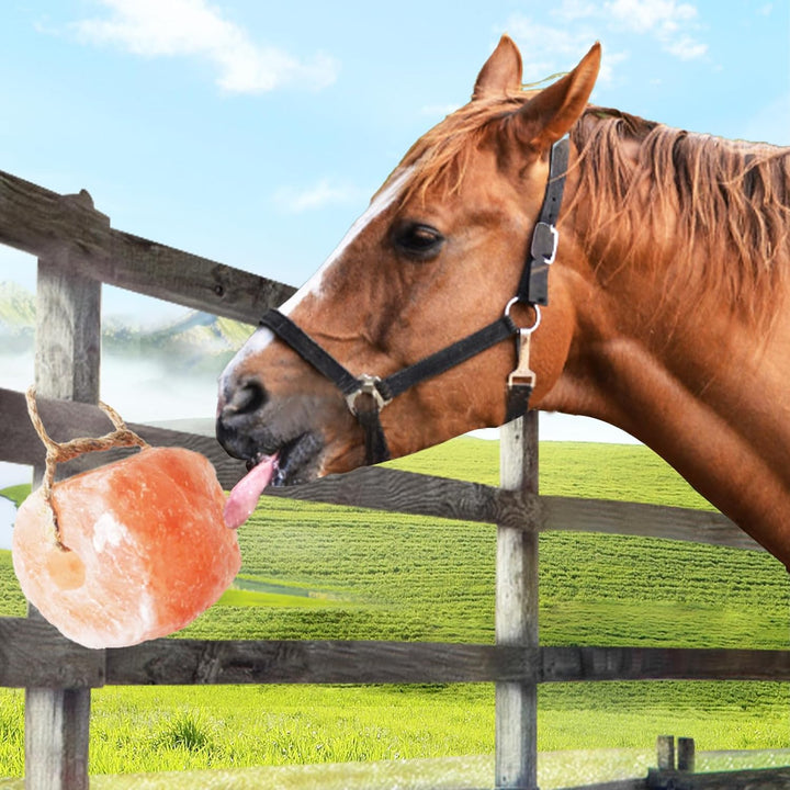 Himalayan Salt Lick Salt Block on Rope for Horse Animals Mineral Salt Licks Natural Pink Licking Salt for Horses Deer Cattle Sheep and Other Livestock (2 Pcs,4.8-6.6 Lbs)