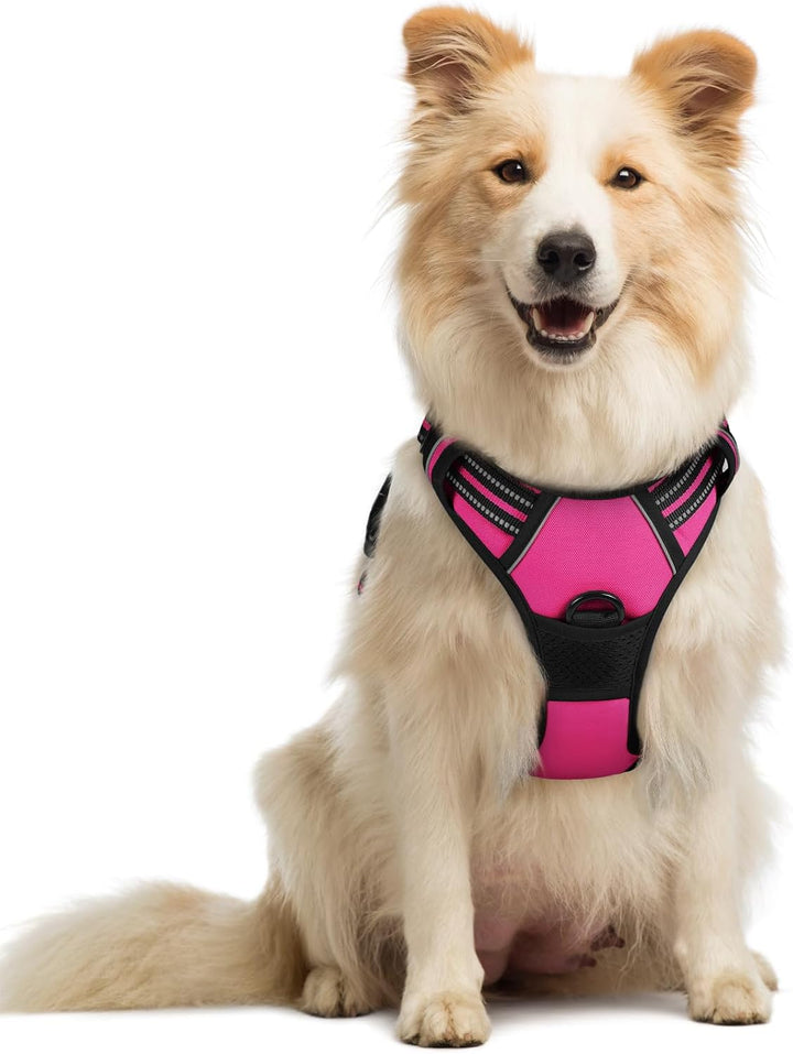 Dog Harness No Pull with 2 Leash Clips, Adjustable Soft Padded, Reflective Oxford No Choke Pet Vest with Easy Control Handle for Large Dogs, Black, L