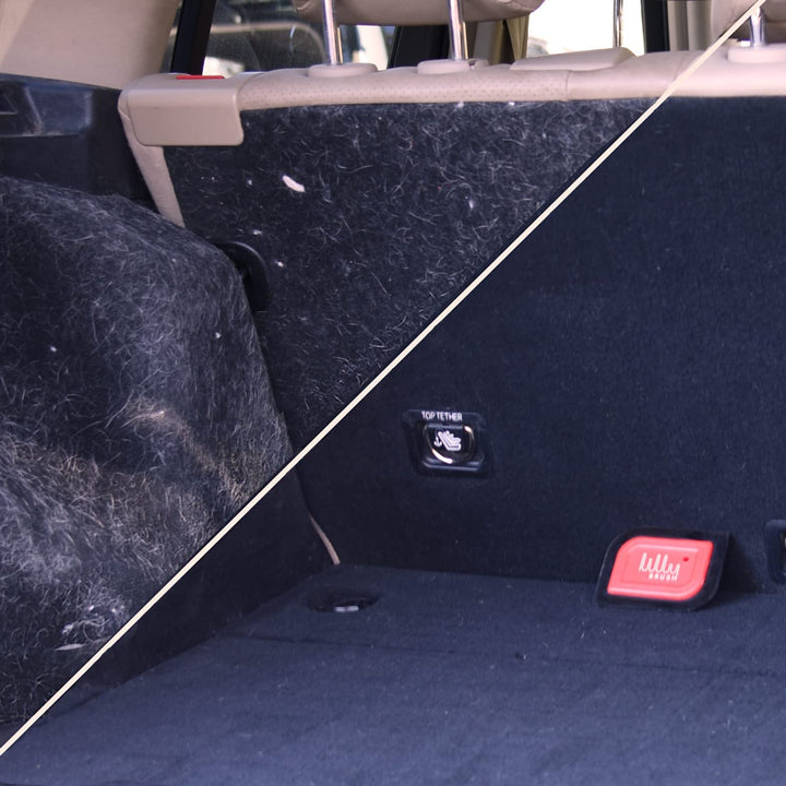 Mini Pet Hair Detailer | Reusable Fur Remover for Car Interior, Carpet, Couch & Furniture