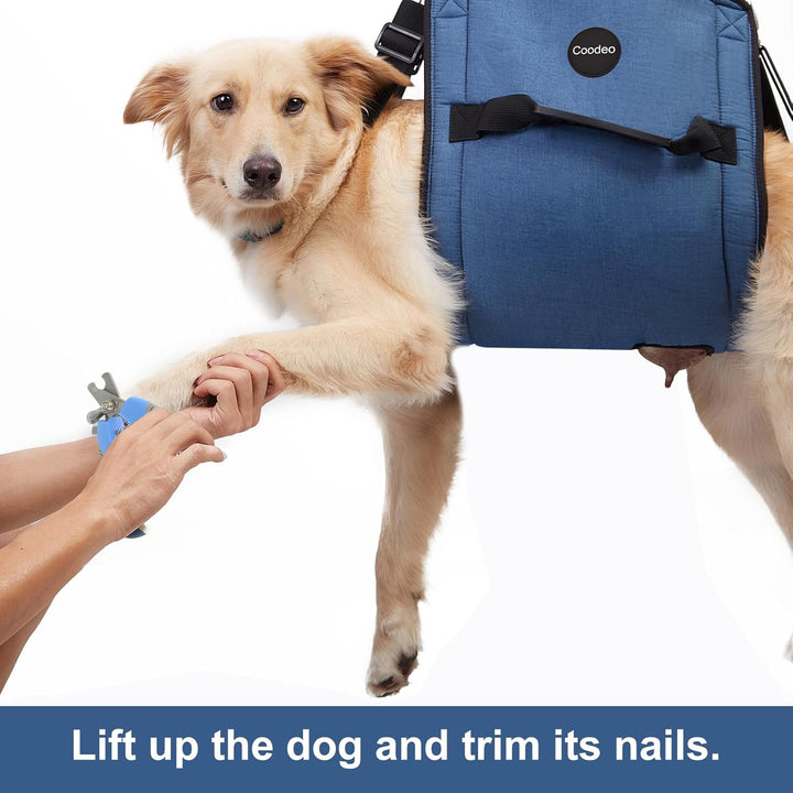 Dog Carry Sling, Emergency Backpack Pet Legs Support & Rehabilitation Dog Lift Harness for Nail Trimming, Dog Carrier for Senior Dogs Joint Injuries, Arthritis, up and down Stairs(Xl, Blue)