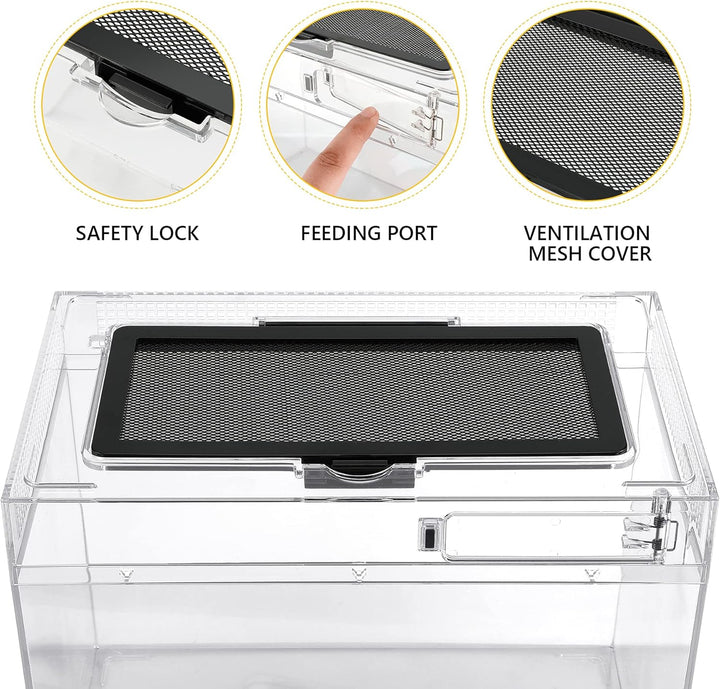 Reptile PC Terrarium,Anti Breakage 12X7X9 Inch Insect Amphibians Tank Spider Starter Kits,Top Sliding Door Screen Ventilation Mini Gecko Habitat Cages,Hygrometer Thermometer,Hide Cave,Tweezer,Sprayer