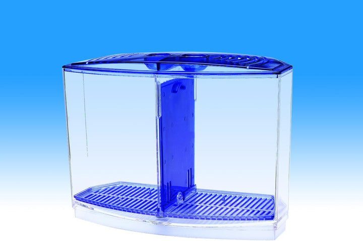 Twin Betta Bow-Front Kit for Aquarium Blue, Green, Tank Is 7.5" across the Front, 6" across the Back