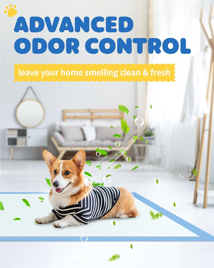 100-Pack X-Large Puppy Pads - 34'' X 28'' Pee Pads for Dogs Potty Training with Leak-Proof Quick-Dry Design, 6-Layer Wee Wee Pads for Dogs, Blue