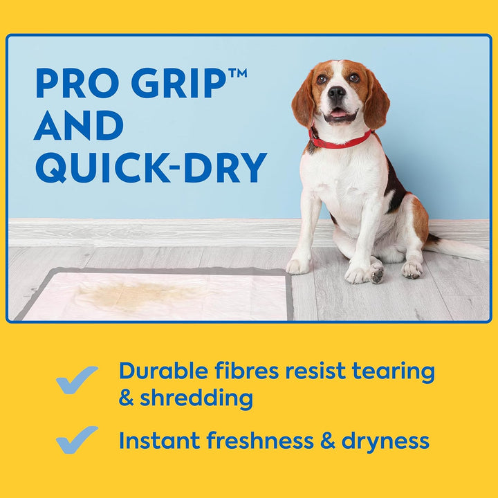 Petcare Puppy Pads XXL, Heavy Duty, Leak Proof Pee Pads for Dogs, Potty Training & Housebreaking, Puppy Essentials (26"X30", 30 Count)