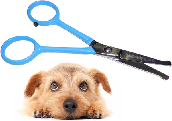 Tiny Trim 4.5" Ball-Tipped Scissor for Dog, Cat and All Pet Grooming - Ear, Nose, Face & Paw - 'S Small Safety Scissor Blue
