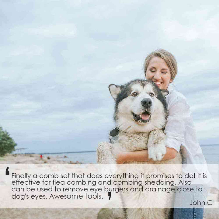 2 Pack Flea Lice Comb, Stainless Steel Dog Cat Grooming Combs with Rounded Teeth, Professional Pet Tear Stain Remover, Dematting Tool for Small, Medium & Large Pets