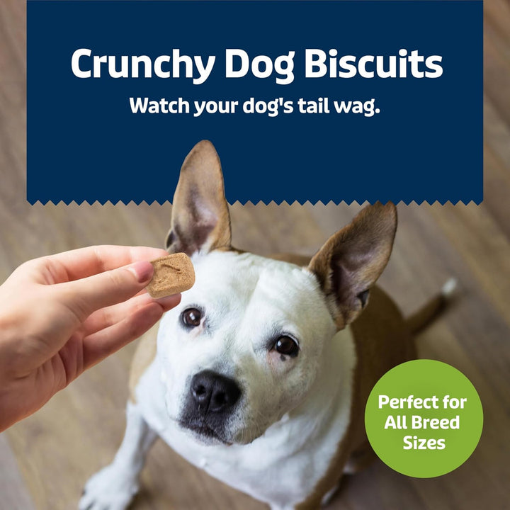 Health Bars Mini Crunchy Dog Biscuits, Oven-Baked with Natural Ingredients, Apples & Yogurt, 16-Oz Bag