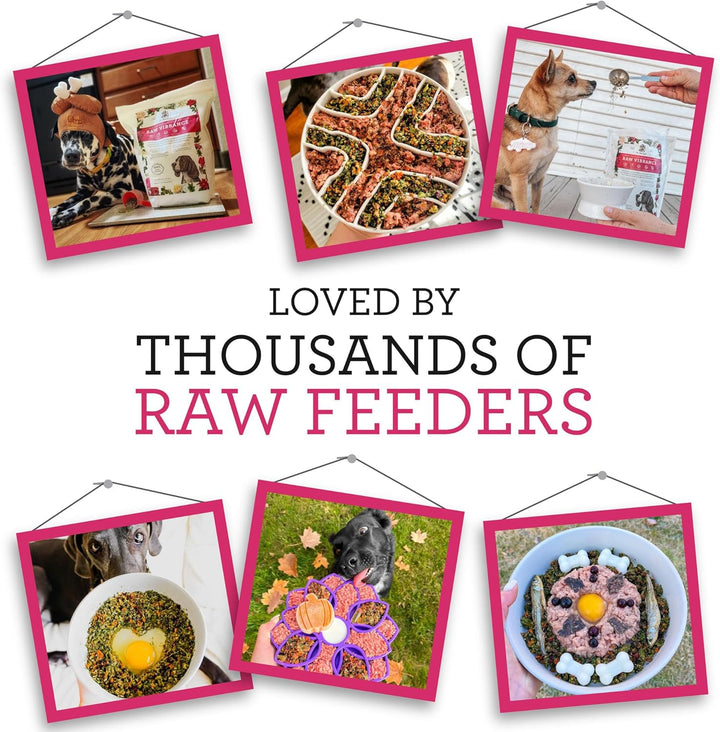Raw Vibrance Grain Free Dehydrated Foundation for Raw Diet Dog Food (6 Pounds)