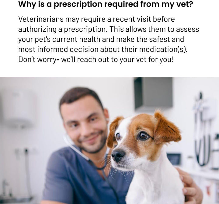 Tobramycin Ophthalmic Solution for Dogs, Cats, and Horses, 0.3%, 5 Ml Bottle