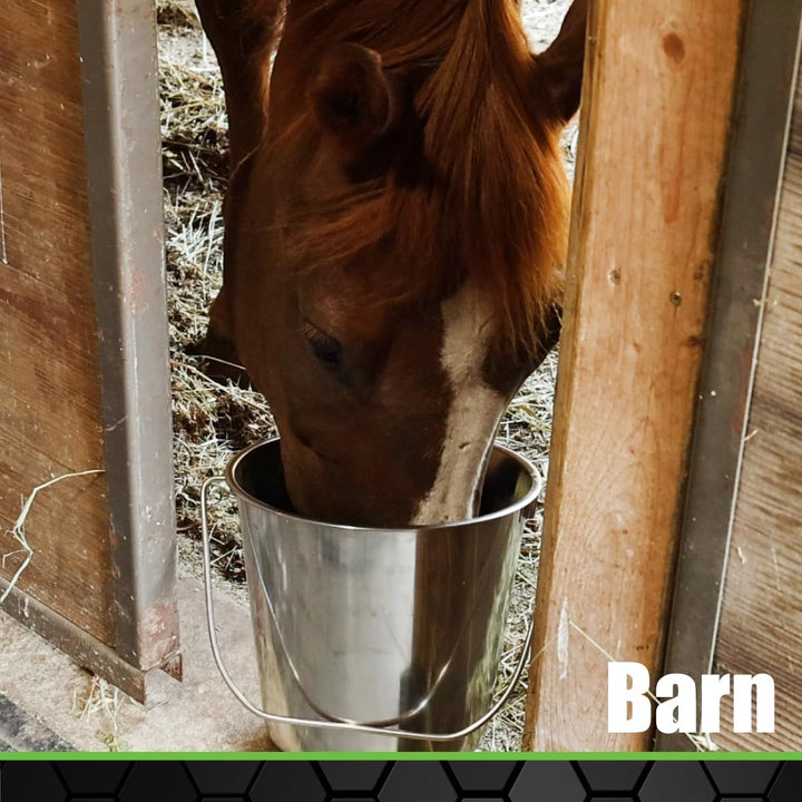 Stainless Steel Bucket (1 Gallon) - Great for Pets, Cleaning, Food Prep - Hang on Fences, Cages, Kennels - Home, Garage, Workshop