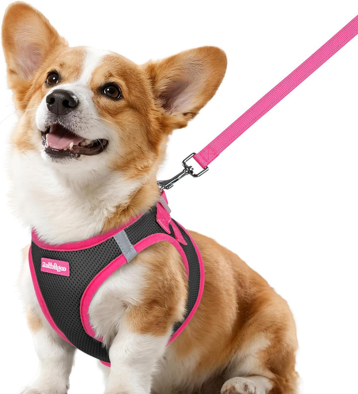 Dog Harness Small Sized and Leash Set, Step-In Breathable Pet Harness, Soft Walking Reflective Puppy Vest for Small Dogs, Black & Rose Red, S