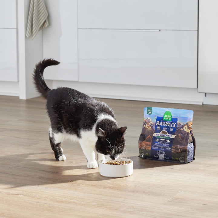 , Rawmix Dry Cat Food, Protein-Packed Kibble Coated in Bone Broth with Freeze Dried Raw Chunks, for Indoor & Outdoor Cats, Chicken & Turkey Grain-Free Recipe, 8Lb Bag