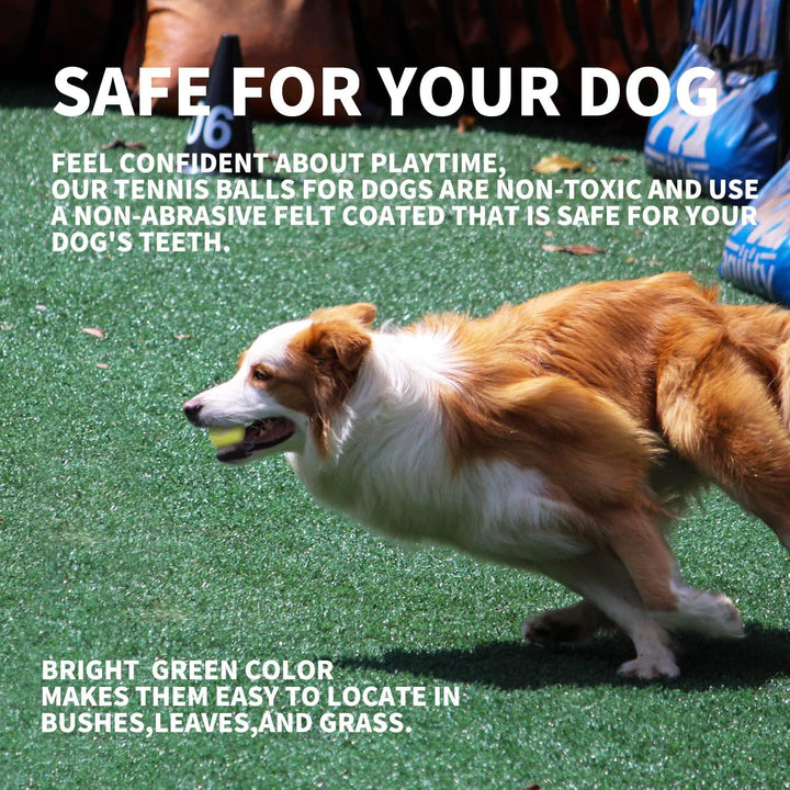 2-Inch Tennis Balls for Dogs, Fetch Toys for Small Medium Dogs, Bouncy & Durable Tennis Balls for Ball Launcher Toy, 6 Pack Fetch Toy for Outdoor Play