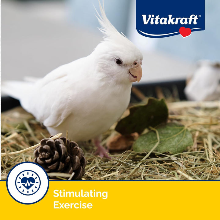 Crunch Sticks Cockatiel Treat - Apricot and Peach - Pet Bird Treat Toy, 3.5 Oz