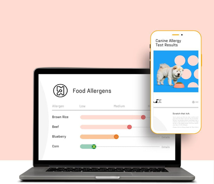 Vet-Recommended and Most Accurate Allergy Test for Itchy, Sensitive Dogs | Cheek Swab – the Gold Standard of Testing | Tests for All Common Food & Environmental Allergens | Custom Report