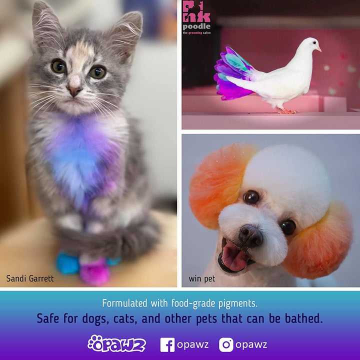 Semi-Permanent Dog Hair Dye, Food-Grade Pigment Dog Dye, Non-Toxic Pet Hair Dye for Dogs, Cats and All Pets Can Be Bathed (Pumpkin Orange)