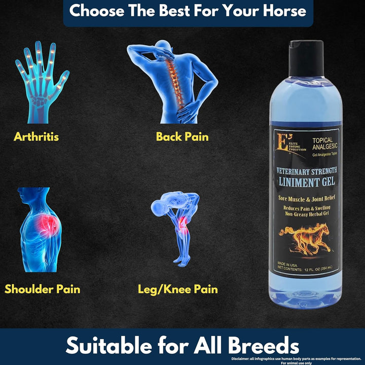 Veterinary Strength Liniment Gel for Sore Muscle & Joint Relief - Reduces Pain & Swelling - Horse Liniment for Humans & Pets - Arthritis Aid - Non-Greasy Herbal Formula- Topical Analgesic