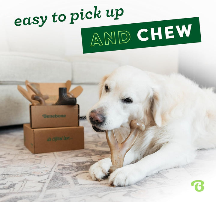 Medium 4-Pack Dog Chew Toys for Aggressive Chewers, Made in USA, 60Lbs and Under