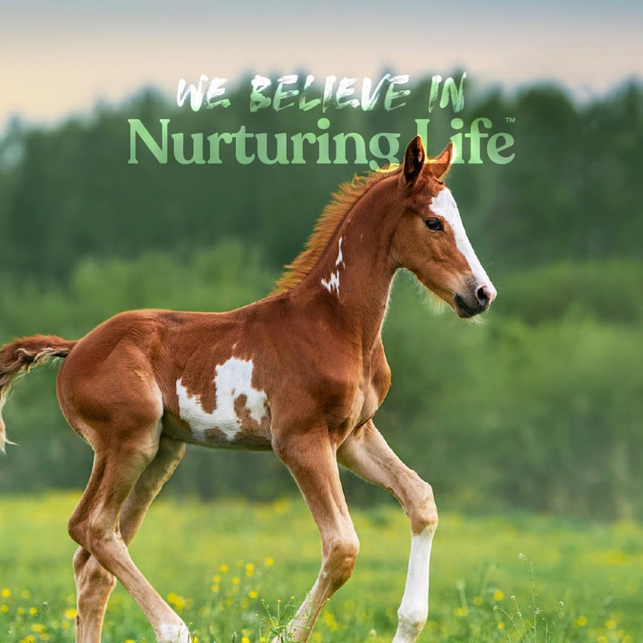 Nurse All Multi-Species Milk Replacer | Great for Calves, Lambs, Goat Kids, Foals, Baby Pigs, Llamas, Alpaca Crias, Puppies & Kittens | Provides Complete Nutrition | 3.5 Lb