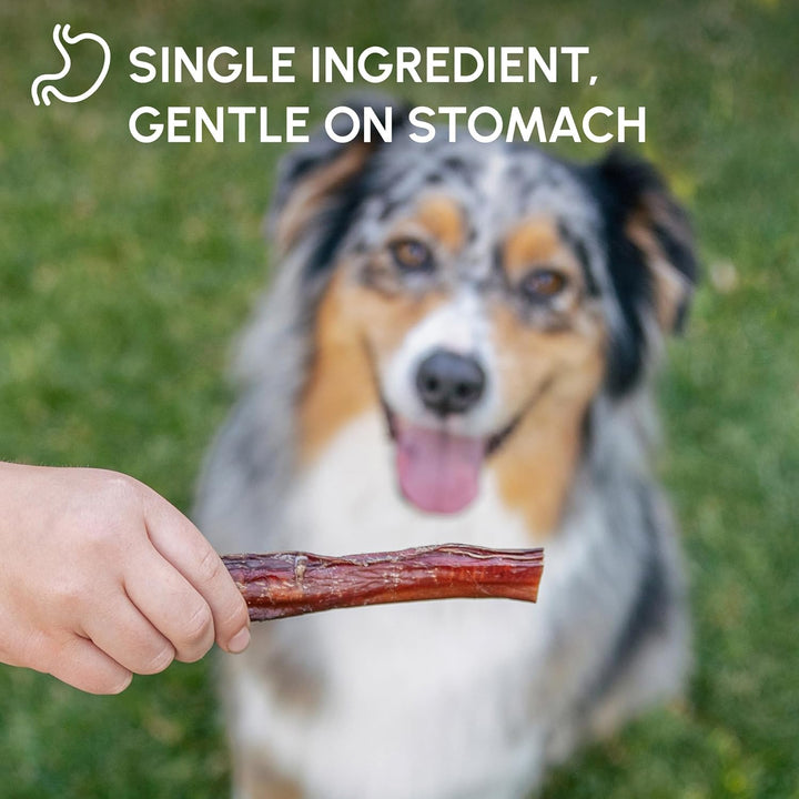 Bully Sticks for Dogs - Natural 6 Inch Beef Chews, Odor-Free & Rawhide-Free, Long Lasting Dog Treats for Aggressive Chewers - Healthy, Safe & Delicious Chews Dogs Love (10 Pack)