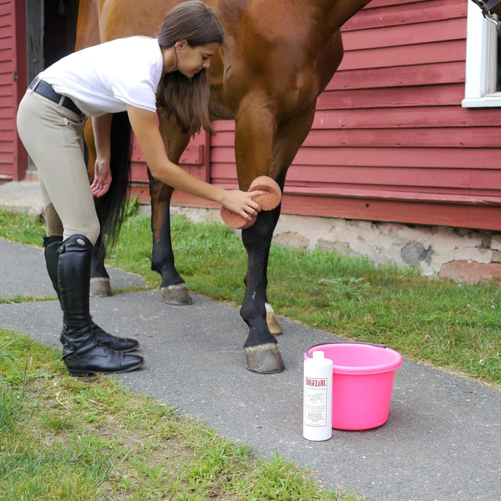 Bigeloil Liquid Liniment, Invigorating Topical Rub for Sore Muscles, Joints & Arthritis Pain