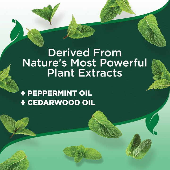 Natural Flea and Tick Collar for Dogs – Natural Repellent Collar with Plant-Based Ingredients – Flea and Tick Prevention and Treatment – Fits Small to Large Dogs – up to 20” Neck Size