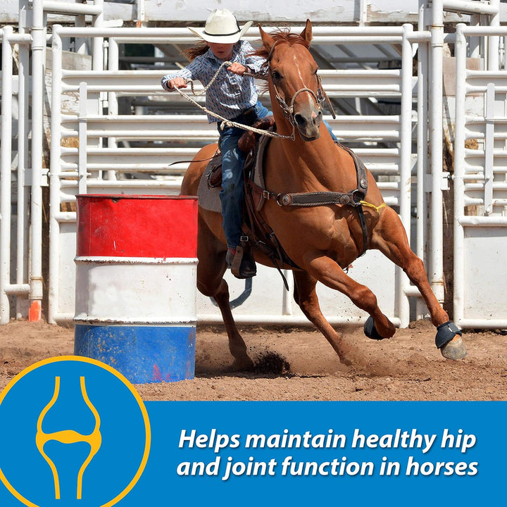 Fluidflex Liquid Joint Supplement for Horses, Helps Maintain Healthy Hip & Joint Function, 32 Ounces 32 Day Supply