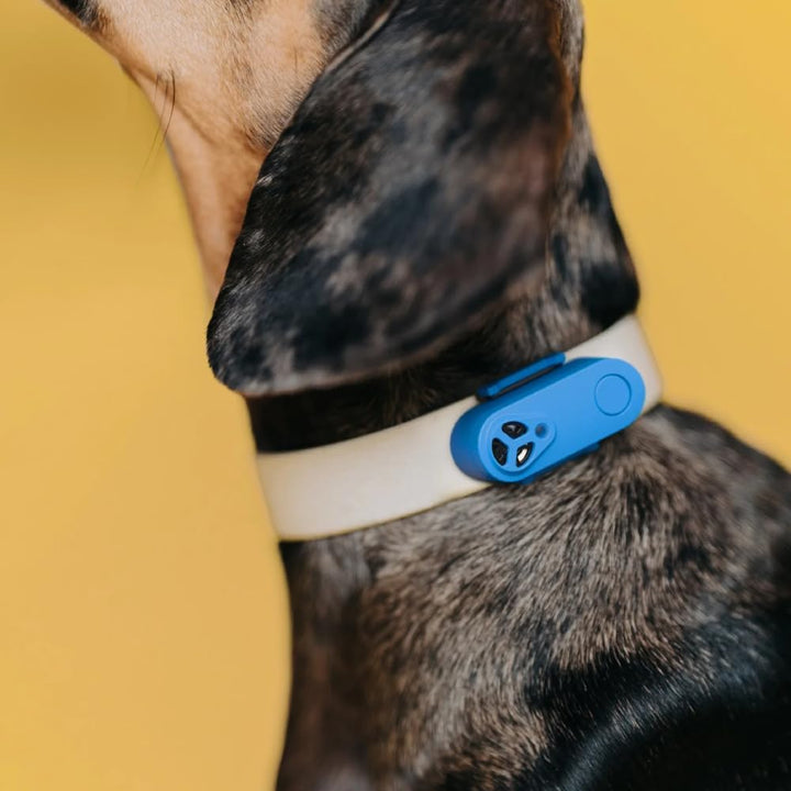 Mini Ultrasonic Tick and Flea Device Neon Yellow | Fragrance-Free Rechargeable Protection for Cats and Dogs | Nightlight Function | on Collar and Harness | Safety in Nature and Cities
