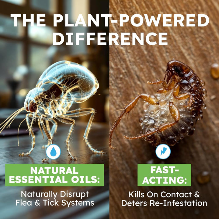 Pet Safe Flea Spray for Cats & Home | Natural Indoor Flea Killer & Tick Prevention | Plant-Based Flea Treatment for Carpet, Furniture & Cat Trees with Essential Oils