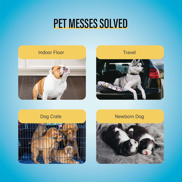 Best Value Training Pads, 22" by 22", 100Count