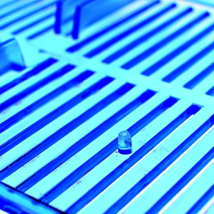 Twin Betta Bow-Front Kit for Aquarium Blue, Green, Tank Is 7.5" across the Front, 6" across the Back