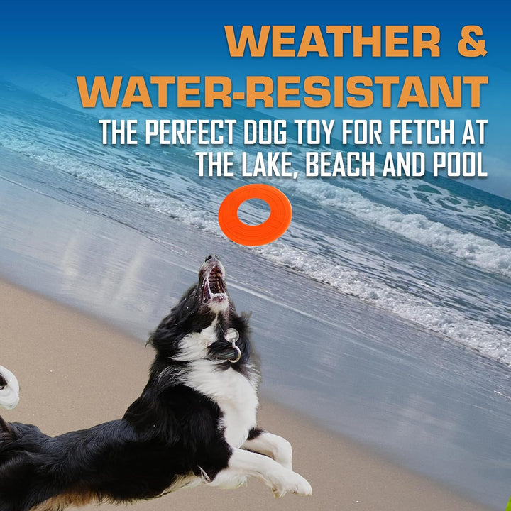 Atomic Flyer Outdoor Dog Toy, 10 Inch Flying Disc Dog Fetch Toy, Rubber Dog Toy for Medium Dogs and Large Dogs, Orange