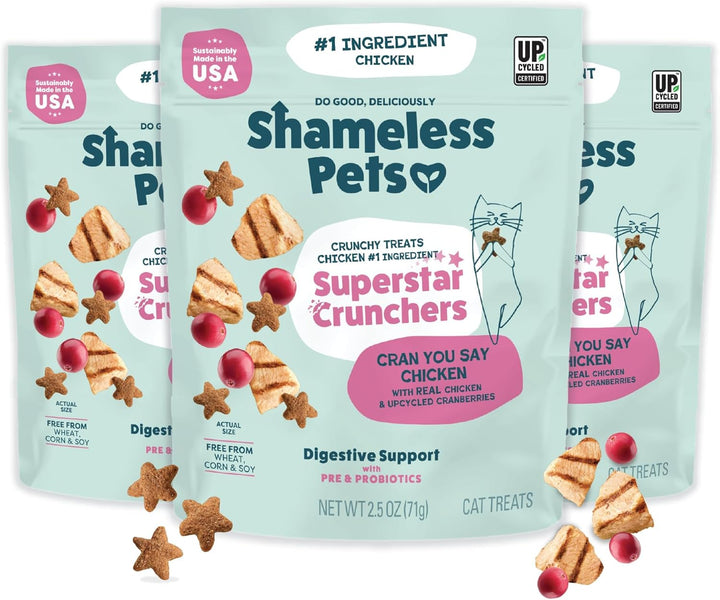 Crunchy Cat Treats - Catnip Treats for Cats with Digestive Support, Kitten Treats with Real Chicken, Natural & Healthy Flavored Feline Snacks - Catnip N Chill, 1-Pk (12 Oz)