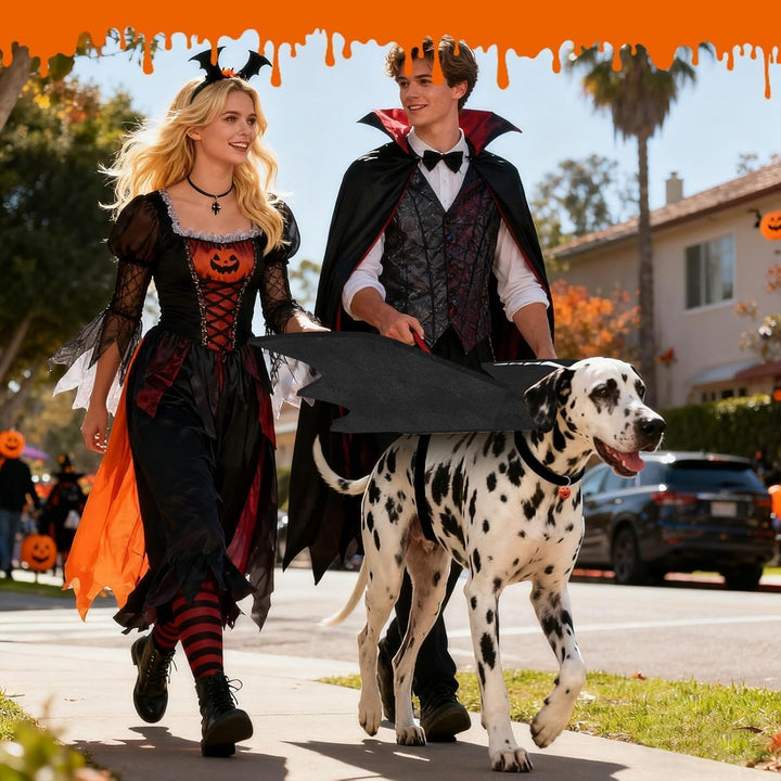 Large Dog Halloween Costumes, Adjustable Dog Bat Wings Costumes for Large Dogs with Pumpkin Bell Skeleton Print on the Back, Pet Costume Halloween Cosplay Party Dress Up, XL Black