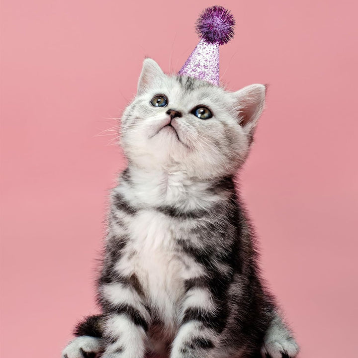 10Pcs Mini Small Dog Hats Cat Birthday Party Hat Rabbit Hats for Holiday Wedding Puppies Kittens Costume Accessories