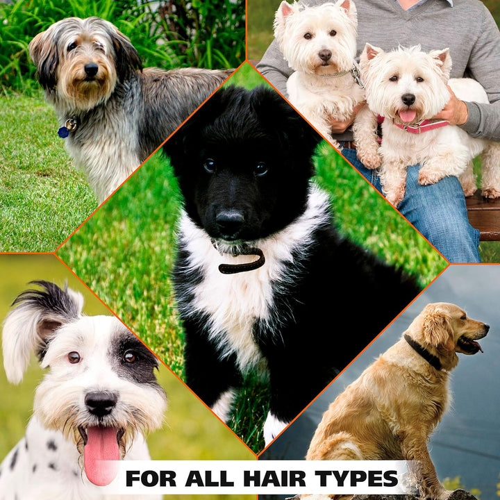 USA Deodorizing & Refreshing Pet Deodorant for Dogs - Eucalyptus & Spearmint Scent to Refresh the Skin and Coat - Model 820011A