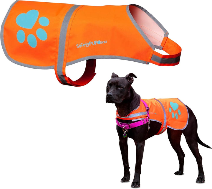 Reflective Dog Vest. Hi-Visibility, Fluorescent Blaze Orange Dog Vest Helps Protect Your Best Friend. Safeguard Your PUP from Motorists & Hunting Accidents, on or off Leash (Large)