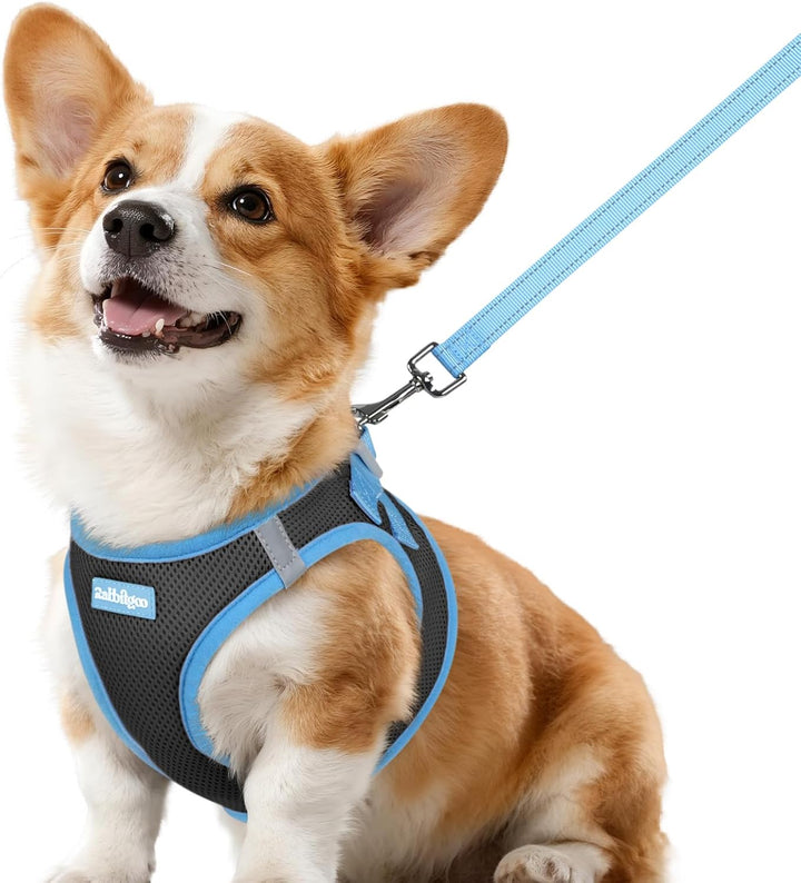 Dog Harness Small Sized and Leash Set, Step-In Breathable Pet Harness, Soft Walking Reflective Puppy Vest for Small Dogs, Black & Rose Red, S