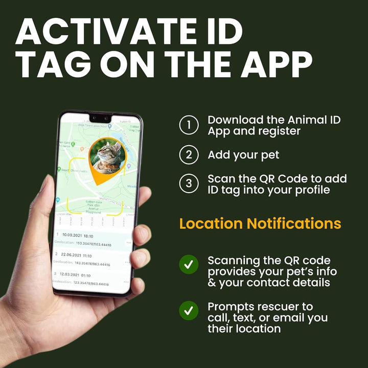 Leather Cat Collar with Removable Bells Non Breakaway Kitten QR Tag for Girl Boy (7" - 9" for Cats, Black & Gold)