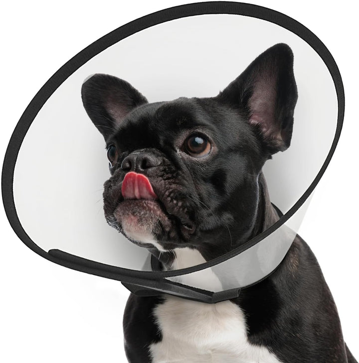 Dog Cone Collar Adjustable after Surgery, Comfortable Pet Recovery Collar & Cone for Large Medium Small Dogs, Elizabethan Dog Neck Collar Plastic Practical