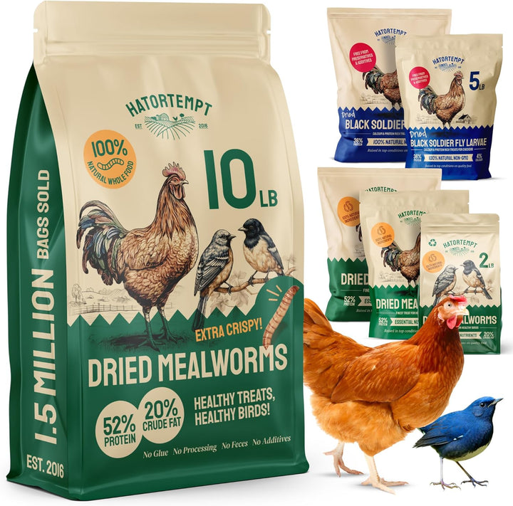 Chicken Feed Dried Mealworms - 5 Lb, Non-Gmo & Organic - High-Protein Mealworms for Wild Birds & Ducks, Chicken Treats & Bird Food