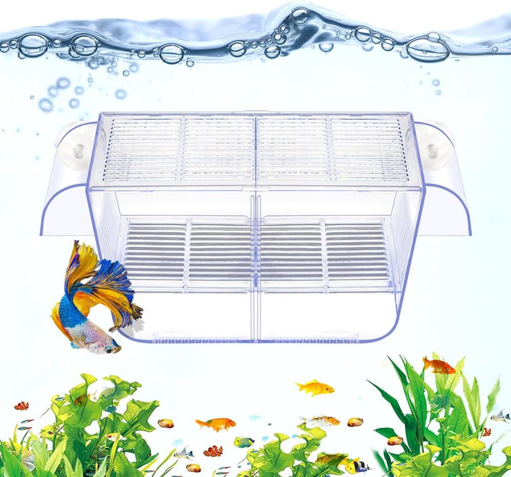 Fish Breeding Box Aquarium Holding Tank Transparent Fish Isolation Box Acclimation Hatchery Incubator Breeder for Betta Shrimp Clownfish Guppy