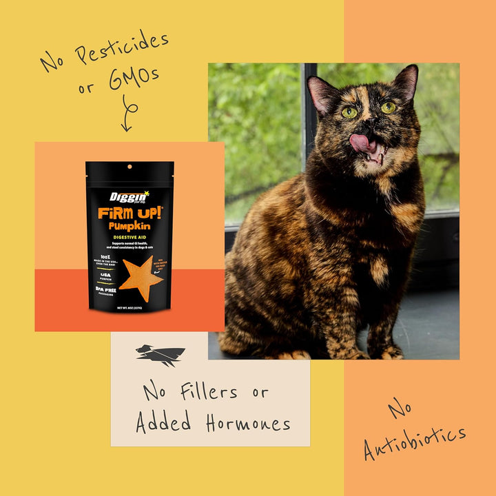 – Firm up Pumpkin for Dogs & Cats – Fiber Supplement with Pumpkin & Apple Fiber for Cat & Dog Digestive Support – Made in USA, 4 Oz