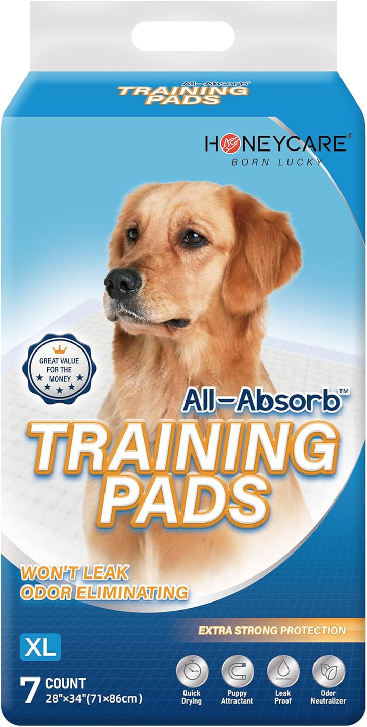 All-Absorb, Small 17.5" X 23.5", 120 Count, Dog and Puppy Training Pads, Ultra Absorbent and Odor Eliminating, Leak-Proof 5-Layer Potty Training Pads with Quick-Dry Surface, Blue, A05