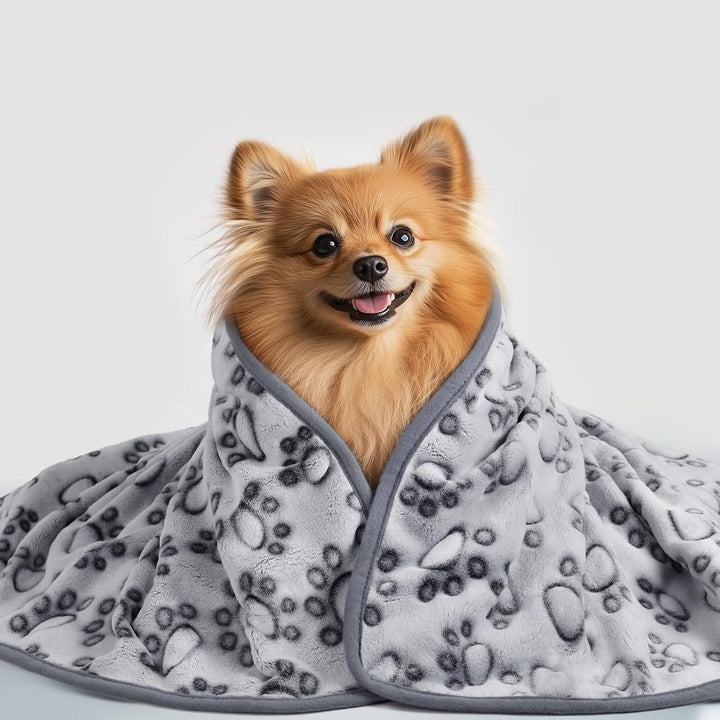 Premium Soft Dog Blanket for Small Medium Large Dogs Washable 300GSM Fluffy Warm Fleece Puppy Cat Paw Print Pet Flannel Grey Paw M(30"X20")