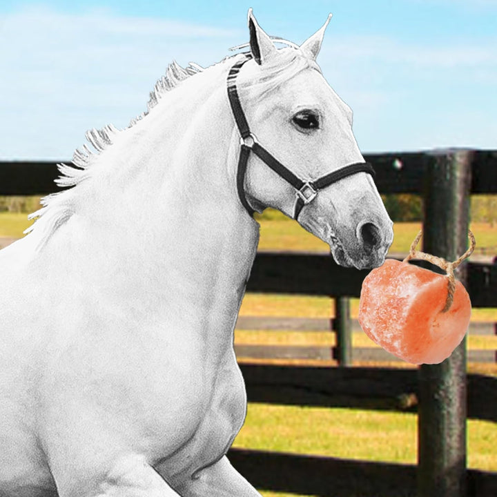 Himalayan Salt Lick Salt Block on Rope for Horse Animals Mineral Salt Licks Natural Pink Licking Salt for Horses Deer Cattle Sheep and Other Livestock (2 Pcs,4.8-6.6 Lbs)