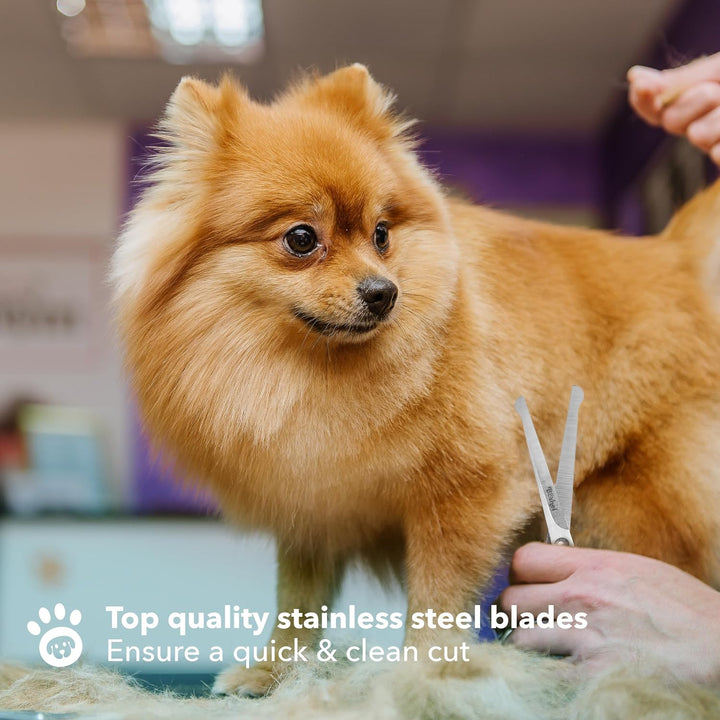 Dog Grooming Scissors for Dogs at Home (2 Pc) - Razor Sharp Stainless Steel Dog Scissors for Grooming - Professional Pet Scissor Set for Dogs & Cats - Best Pet Shears with Rounded Safety Tips