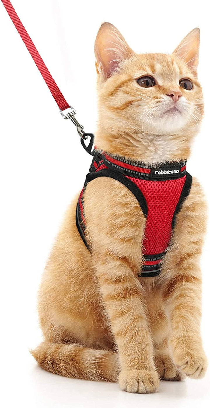 Cat Harness and Leash Set for Walking Escape Proof, Adjustable Soft Kittens Vest with Reflective Strip for Cats, Comfortable Outdoor Vest, Black, S