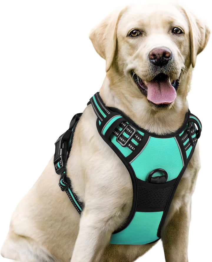 Dog Harness No Pull with 2 Leash Clips, Adjustable Soft Padded, Reflective Oxford No Choke Pet Vest with Easy Control Handle for Large Dogs, Black, L