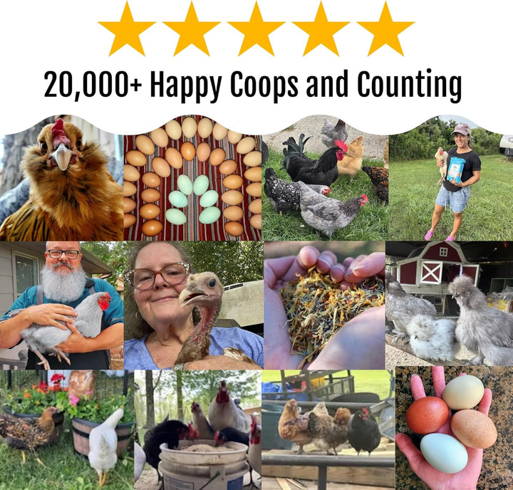 Herb Supplement for Backyard Chickens - Natural Chicken Treats, Poultry Feed Botanical Mix, Plant-Based Coop Snacks for Daily Wellness, Feather Quality, Egg Production, USA (12 Oz)